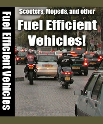 Product picture Fuel Efficient Vehicles !PLR!
